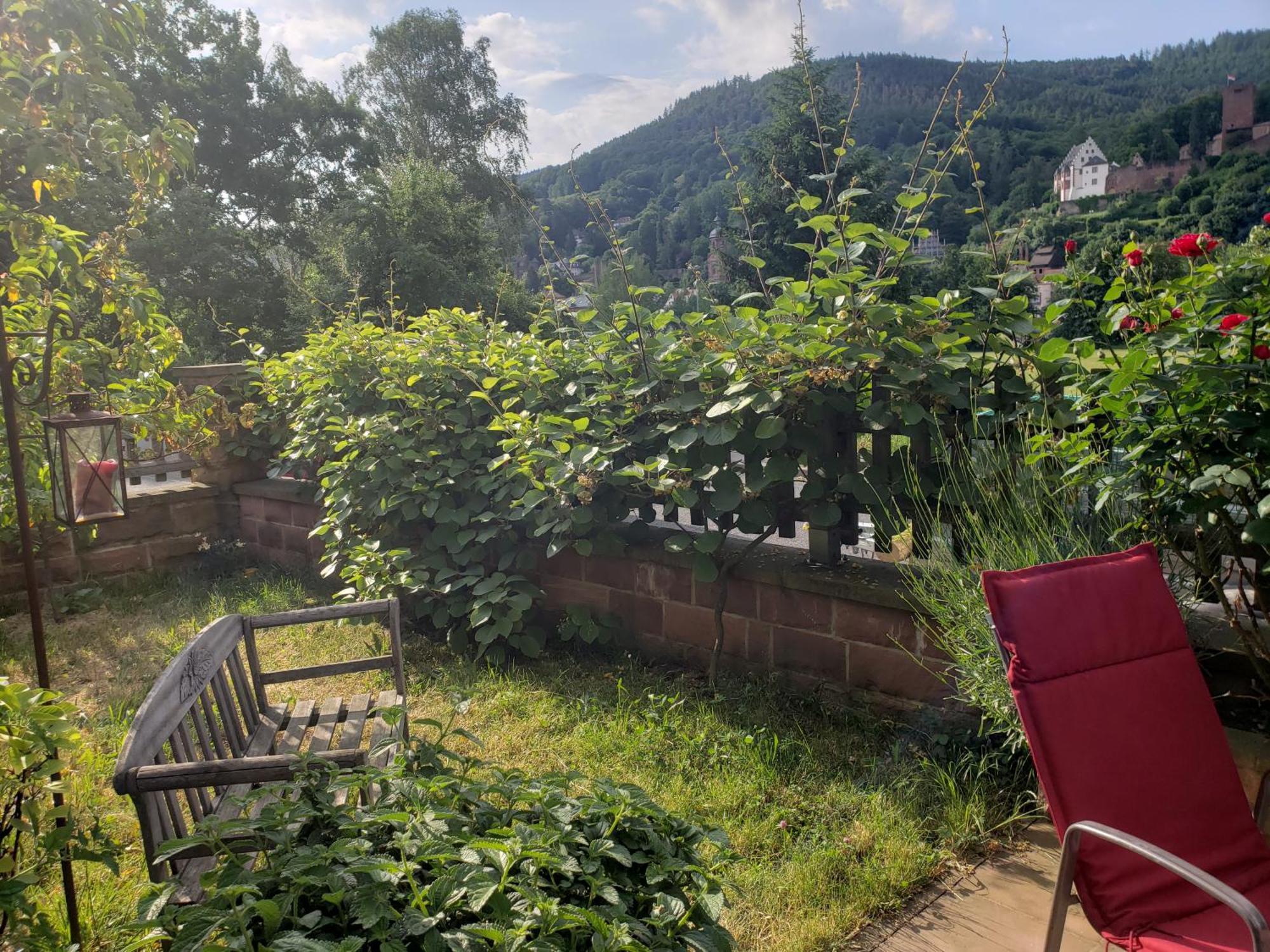 Panorama-Blick Miltenberg, 3 Pers., Zentr., Am Main, Terrasse, Bootverleih, P Kültér fotó