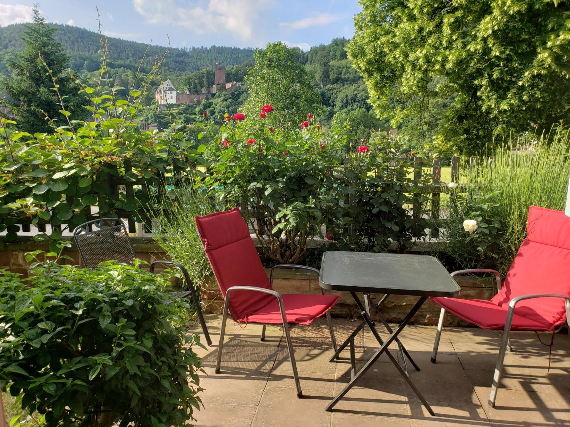 Panorama-Blick Miltenberg, 3 Pers., Zentr., Am Main, Terrasse, Bootverleih, P Apartman Kültér fotó