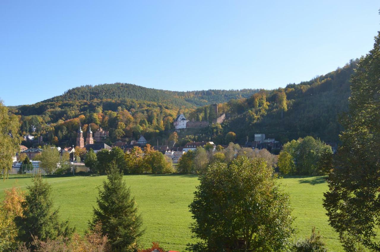 Panorama-Blick Miltenberg, 3 Pers., Zentr., Am Main, Terrasse, Bootverleih, P Apartman Kültér fotó