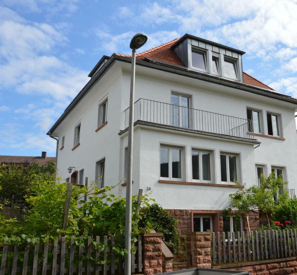 Panorama-Blick Miltenberg, 3 Pers., Zentr., Am Main, Terrasse, Bootverleih, P Apartman Kültér fotó