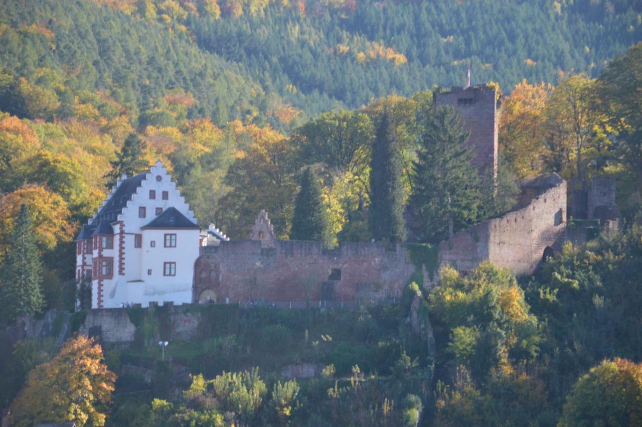 Panorama-Blick Miltenberg, 3 Pers., Zentr., Am Main, Terrasse, Bootverleih, P Apartman Kültér fotó