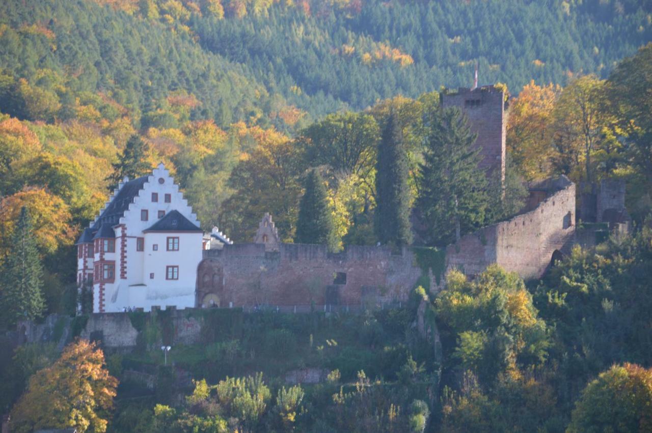Panorama-Blick Miltenberg, 3 Pers., Zentr., Am Main, Terrasse, Bootverleih, P Kültér fotó