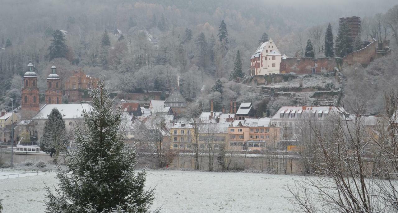 Panorama-Blick Miltenberg, 3 Pers., Zentr., Am Main, Terrasse, Bootverleih, P Apartman Kültér fotó