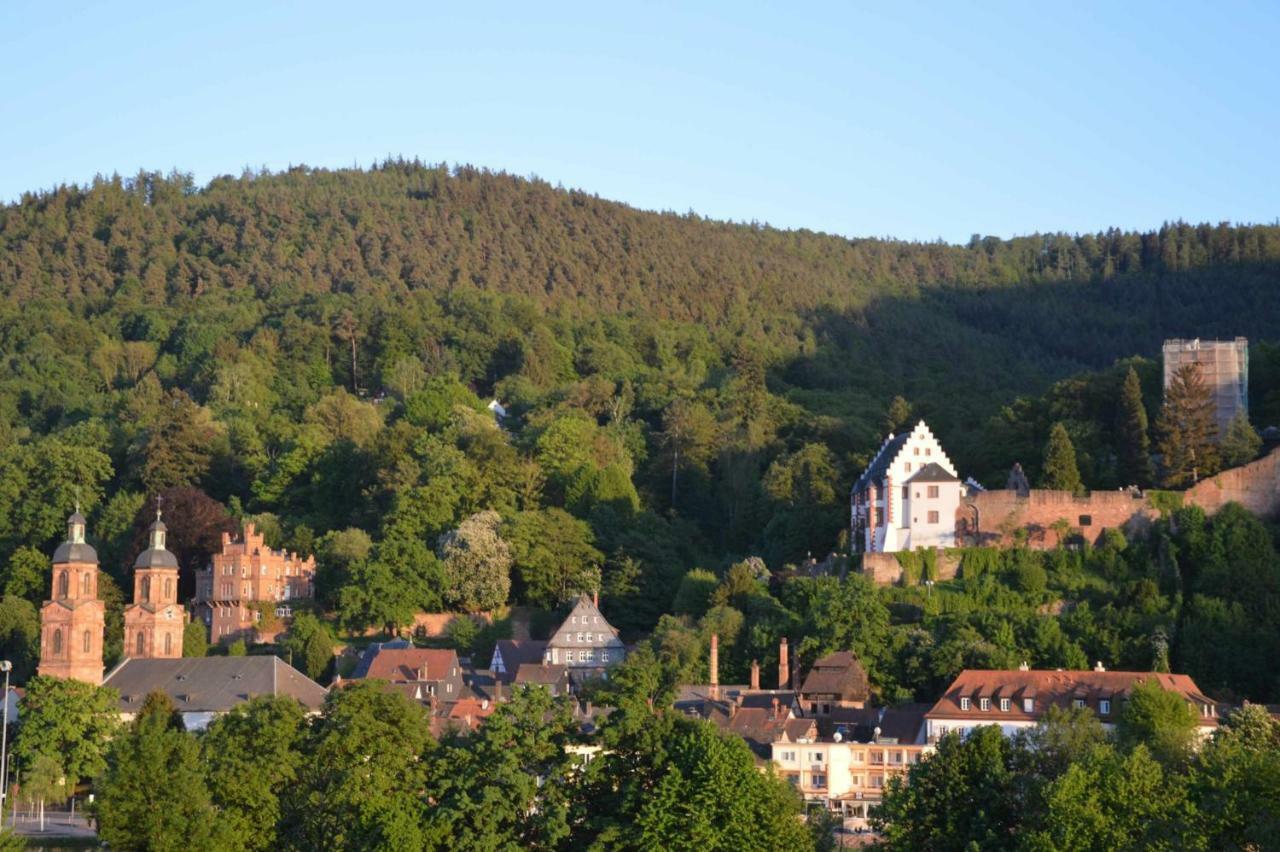 Panorama-Blick Miltenberg, 3 Pers., Zentr., Am Main, Terrasse, Bootverleih, P Apartman Kültér fotó