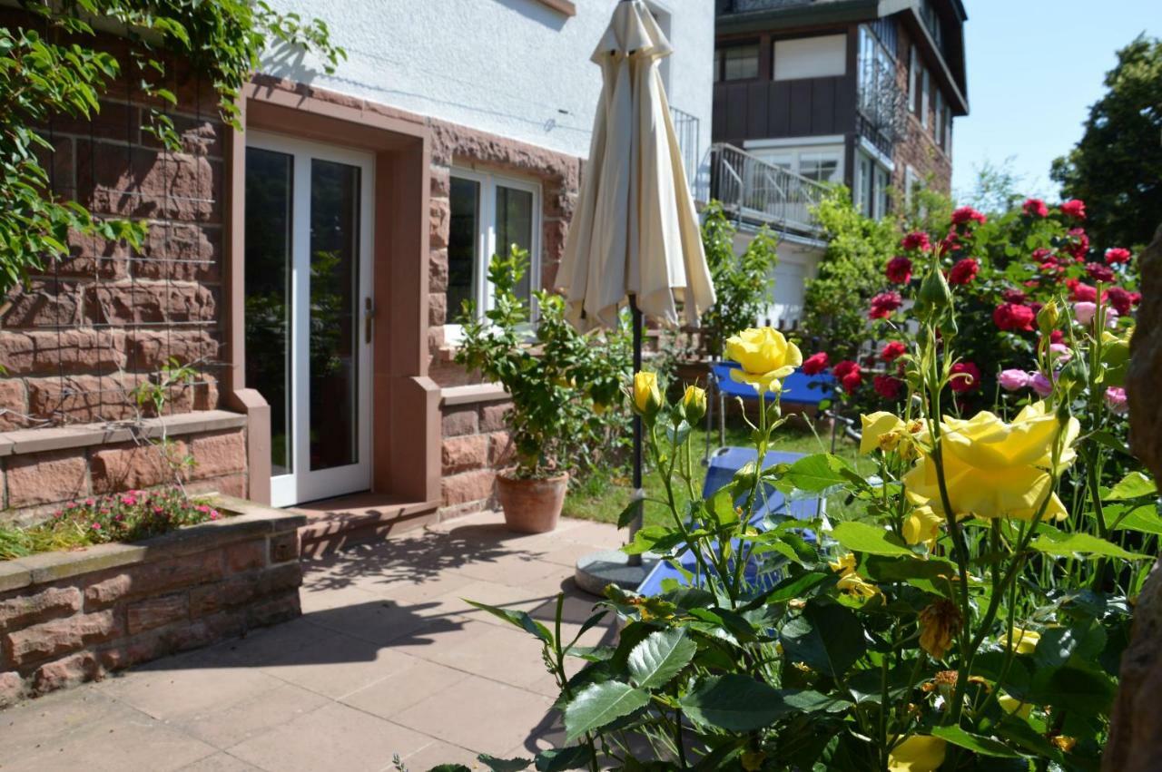 Panorama-Blick Miltenberg, 3 Pers., Zentr., Am Main, Terrasse, Bootverleih, P Kültér fotó